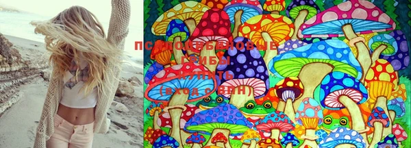 молекула духа Кодинск