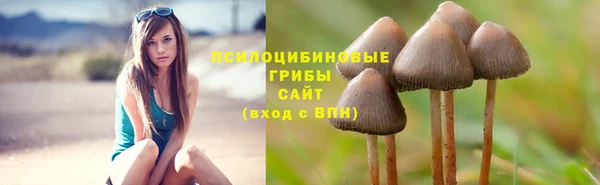 меф Калининец